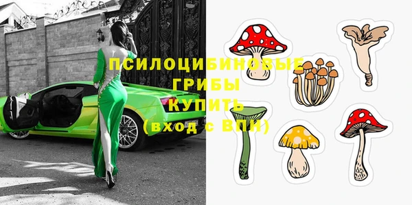ешки Богданович