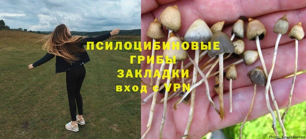 ешки Богданович